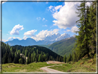 foto Forca Rossa e Passo San Pellegrino